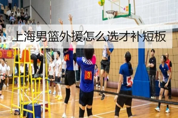 上海男篮外援怎么选才补短板