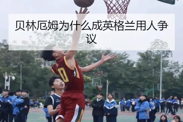 img_1781303517195_586_1_668.jpg