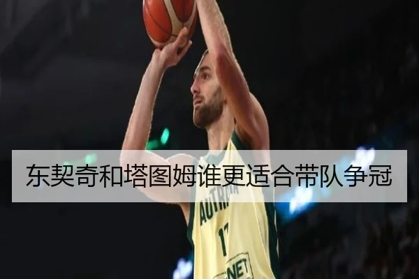 东契奇和塔图姆谁更适合带队争冠