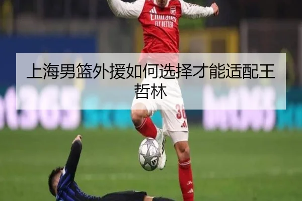 上海男篮外援如何选择才能适配王哲林