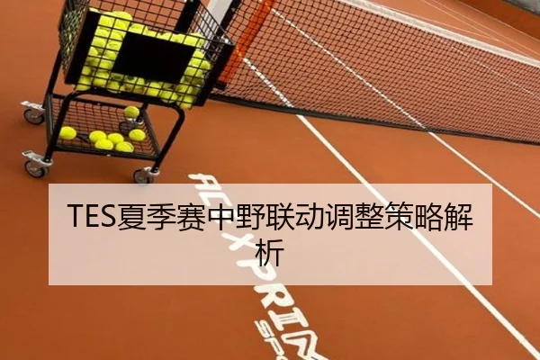 TES夏季赛中野联动调整策略解析
